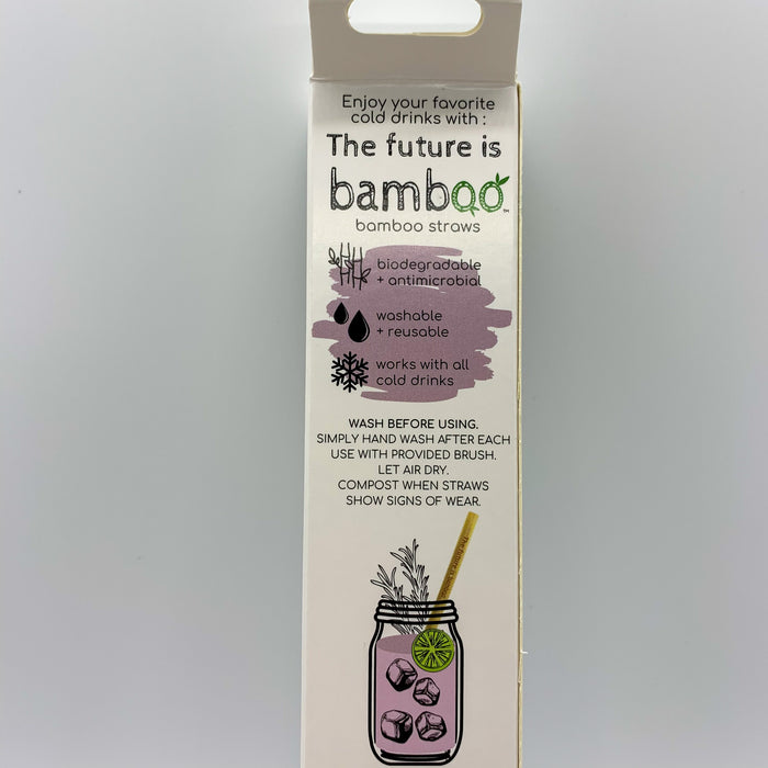 the-future-is-bamboo-bamboo-straws-6-pack-box-back